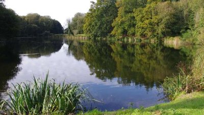 Parcours pêche de l'étang de Milin Saezh
