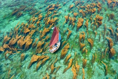 Location nautique de Ploudalmézeau - Portsall