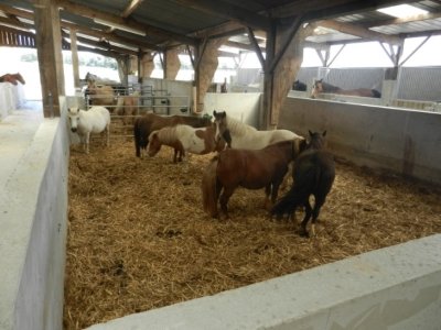 Centre Équestre du Bois Gérard