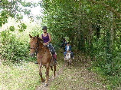 Centre équestre du Triskel