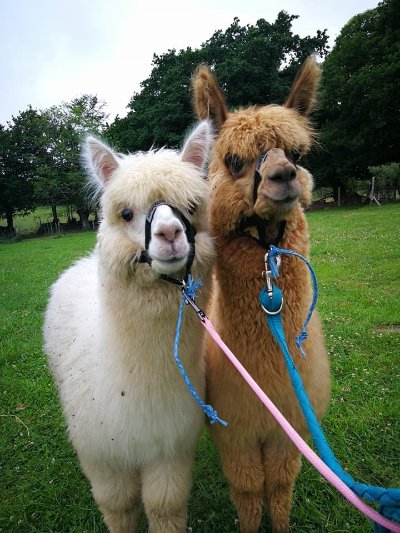 Le Domaine de Parial