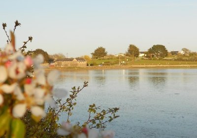 La Calèche de Séné - Balade à Cheval