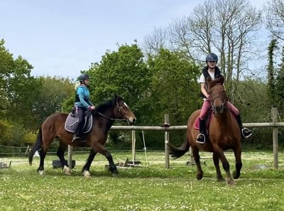Les poneys de Kerjean