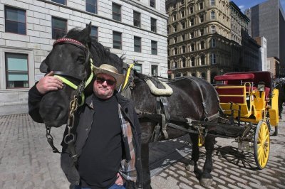 Les Calèches de St Jean
