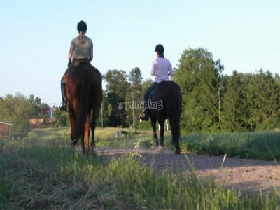 Ferme équestre les Ecuries du Moulin