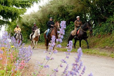 Le Hac centre équestre