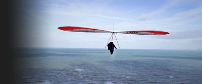 Les Goelands d'Armor