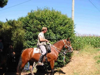 Centre équestre de la ferme du Syet