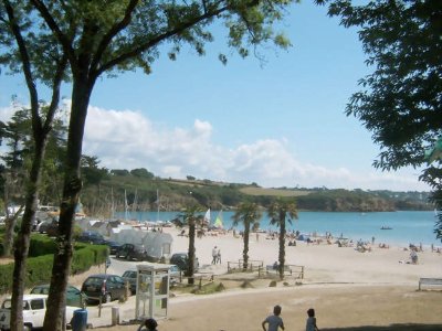 Sortie nature : pistez les animaux