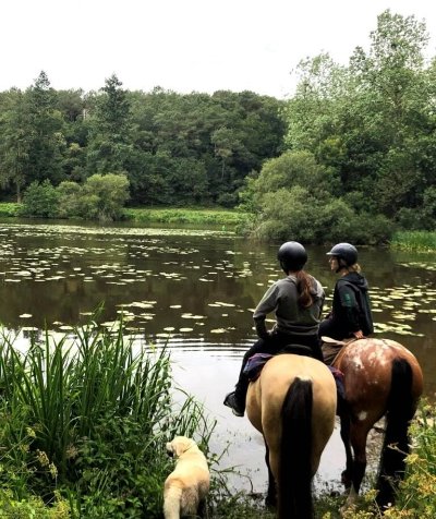 Ferme équestre les poneys de la Jouv'