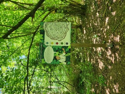 La Forêt qui régale