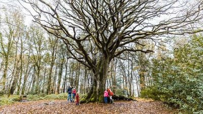 Parcours pêche de l'étang de Gwazh ar Stank