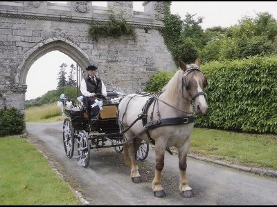 Balades et visites en calèche avec Jean-Claude