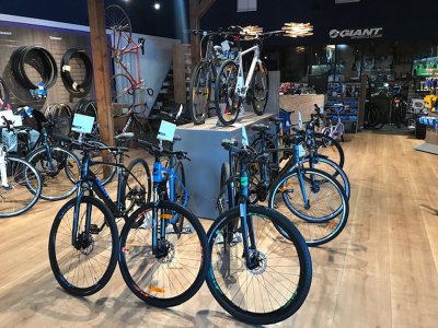 Cycles Manu Scotet - Giant Pont-L'abbé