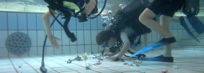 Association Plongée Enfant de Bretagne