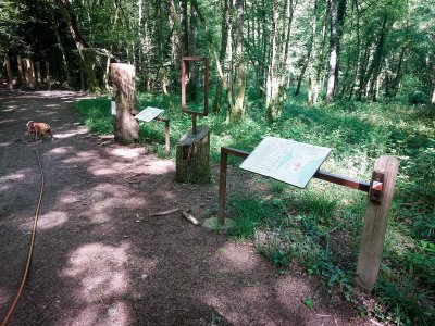 Sentier d'interprétation - Etang de Niffond