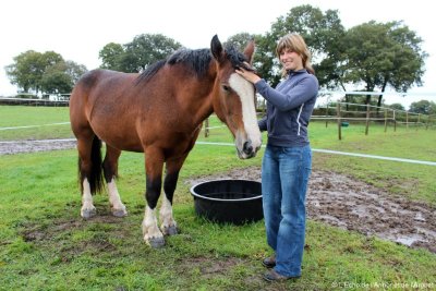 Ferme équestre de Goazily