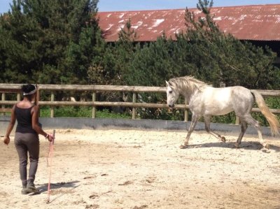 Centre équestre Ethoetoi
