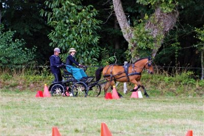 Attelages des Aubriais