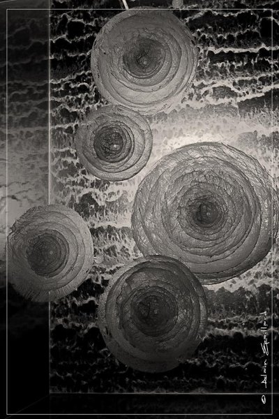 L'Antre de lumière - Vitraux