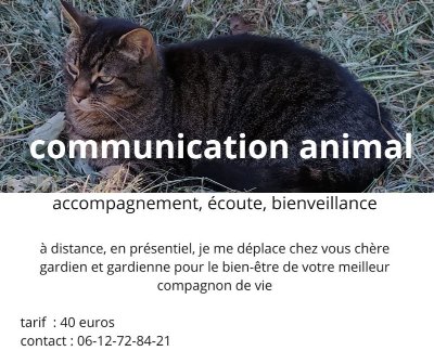 Albisiara Nature - Bains de forêt