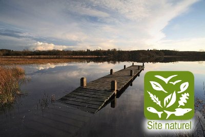 Parcours pêche de l'étang du Moulin Neuf