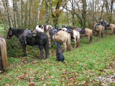 Domaine des chimères