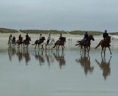 Centre équestre de la Torche