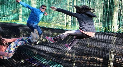 Parcabout® Chien Noir du Quinquis