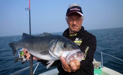 Guide de Pêche au Bar Le Loup bar