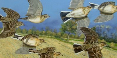 Galerie Atelier d'Artiste Pierre Roussia