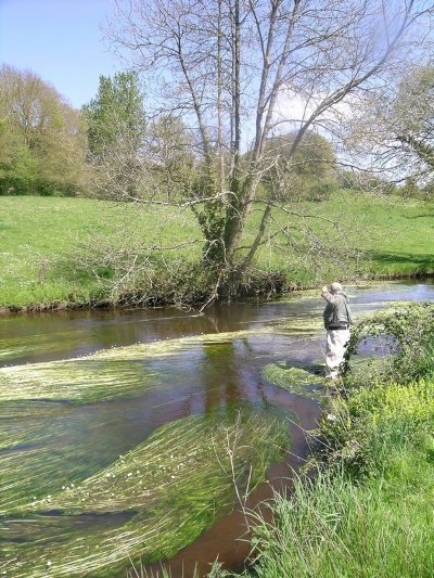 Parcours pêche sur le Guic