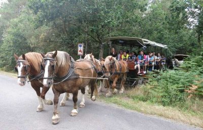 Ferme équestre de La Landelle