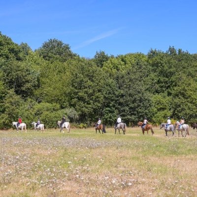 Les Ecuries du Petit Manoir