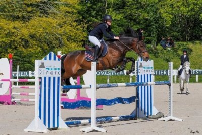 Centre équestre de Montaubert