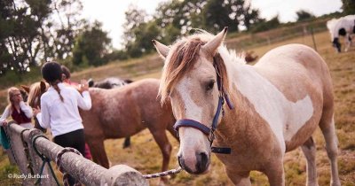 Ferme équestre de Neiscaouen