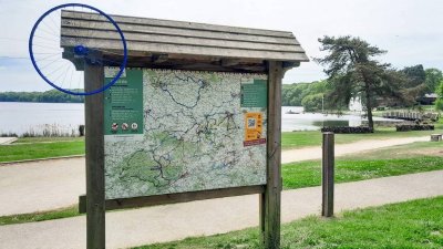 Base VTT de Brocéliande