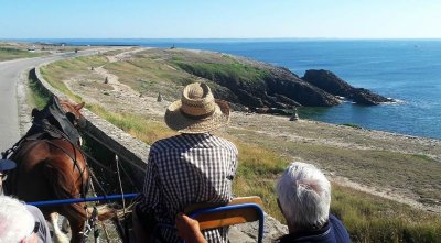 Presqu'île Attelage