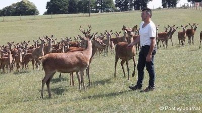 Visite d'entreprise : Élevage de cerfs de Kerfulus