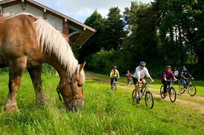 Location de vélos à Saint-Thégonnec