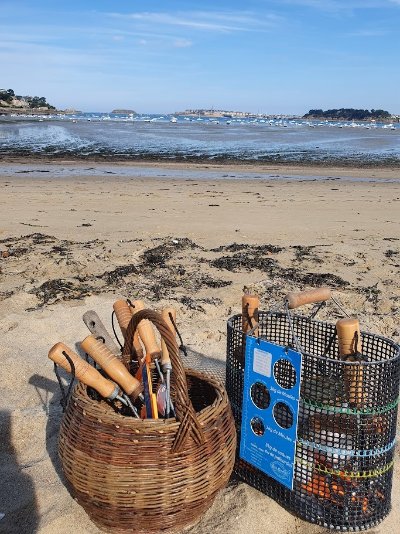 Visite guidée de Dinard : Coquillages ou crustacés ?