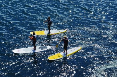 L'Odet en kayak ou stand up paddle