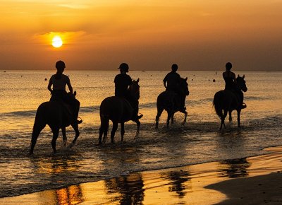 Erdeven Equitation - Centre équestre Poney Club