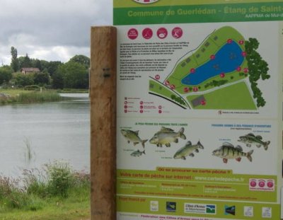 Parcours découverte pêche Jugon-les-Lacs