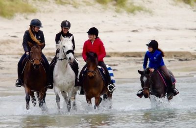 Poney Club Blue Nash