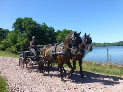 Equi’Attelage – Cavaliers des Fontenelles