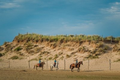 Sables d'Or Equitation