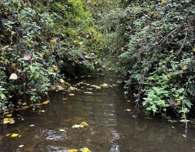 Parcours spécifique rivière Le Frémur