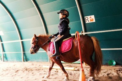 Les Ecuries du Vieux Puits - centre équestre
