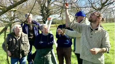 Taille de Formation des Arbres Fruitiers